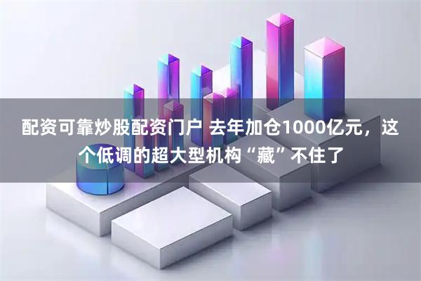 配资可靠炒股配资门户 去年加仓1000亿元,这个低调的超大型机构“藏”不住了