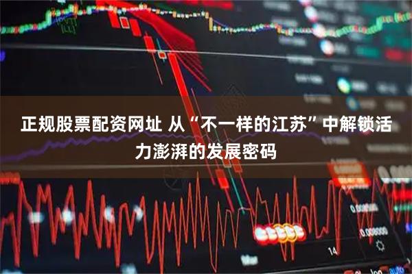 正规股票配资网址 从“不一样的江苏”中解锁活力澎湃的发展密码